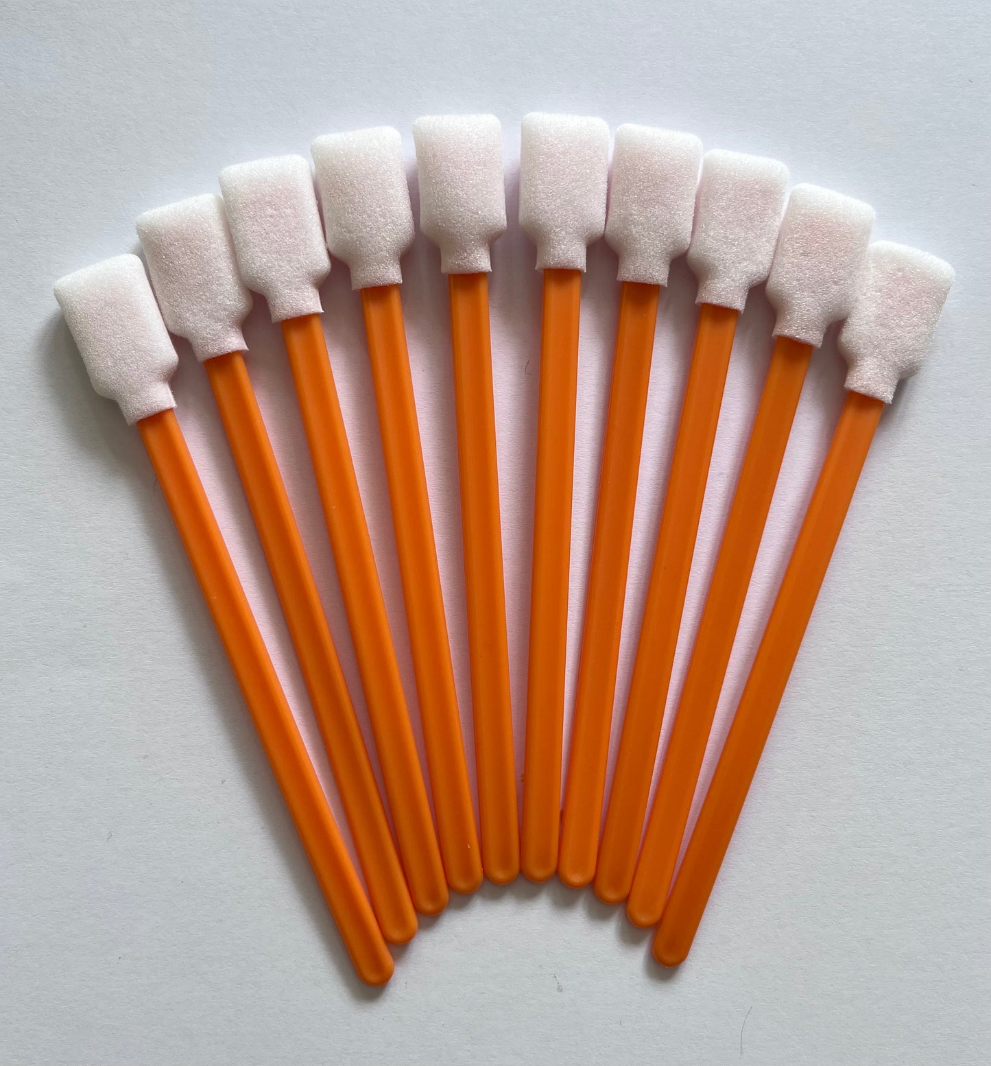 Cleaning Swabs (10 pack)